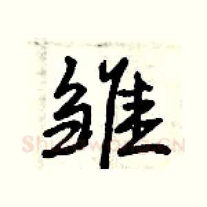 雏