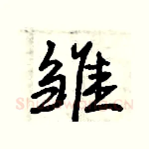 雏
