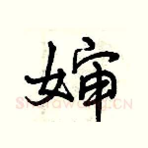 婶