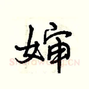 婶