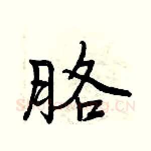胳