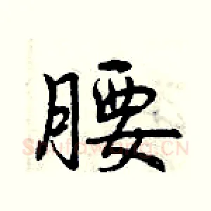 腰