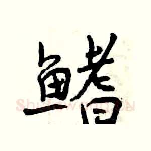 鳍