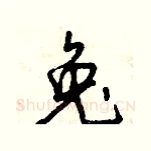 兔