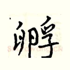 孵