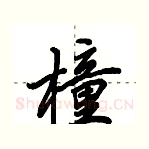 橦