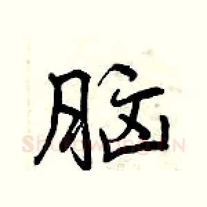 脑