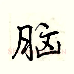 脑