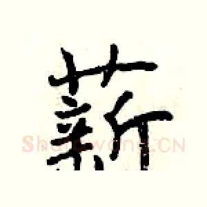 薪