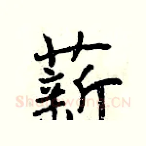 薪