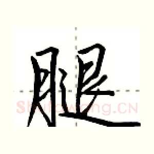 腿