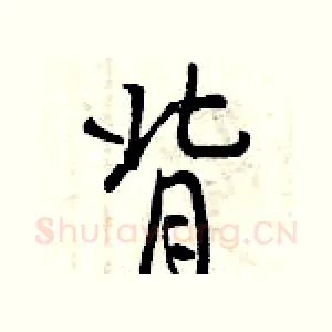 背