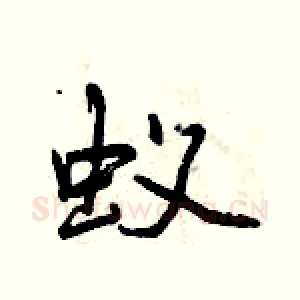 蚁