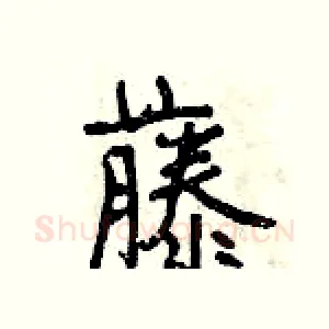 藤