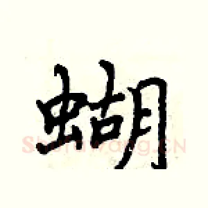 蝴