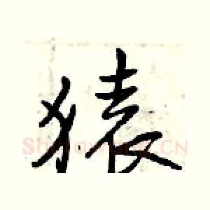 猿