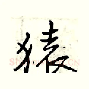 猿