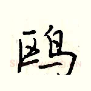 鸥