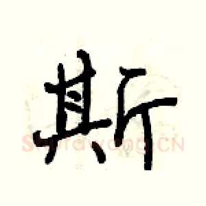 斯