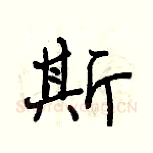 斯
