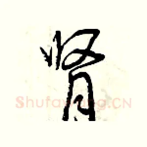 肾