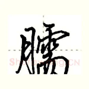 臑