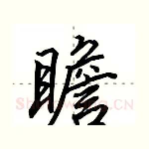 瞻