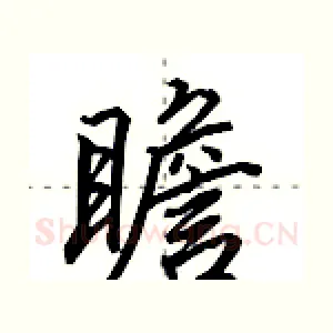 瞻
