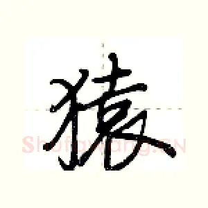 猿
