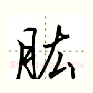 肱