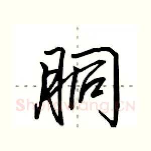 胴