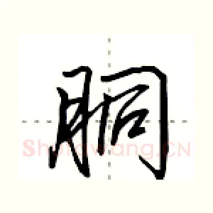 胴