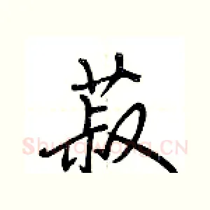 菽