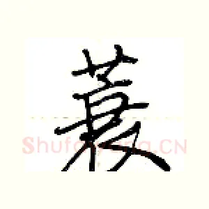 蓑