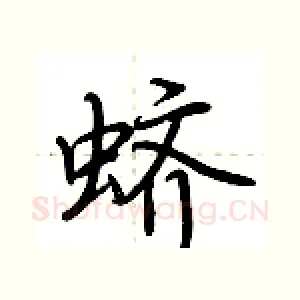 蛴