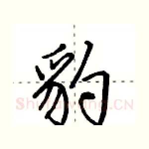 豹