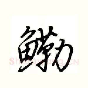 鳓