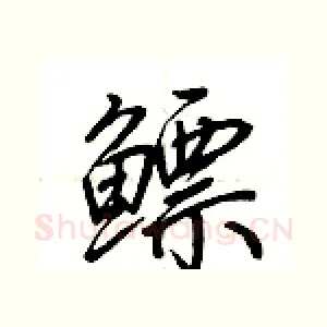 鳔