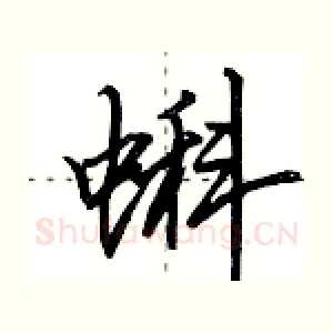 蝌