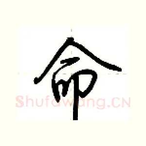 命