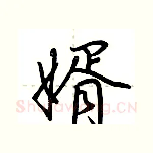 婿