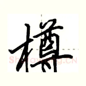 樽