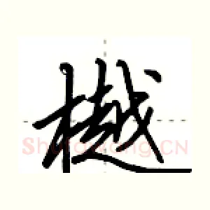 樾