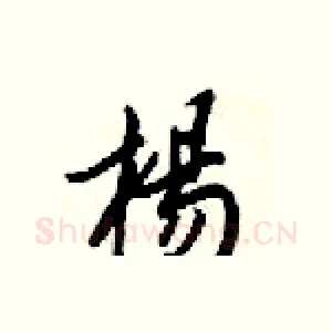 楊