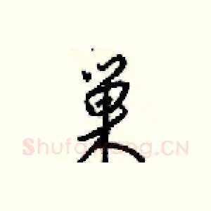 巢