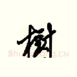 樹