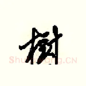樹