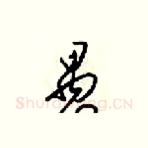 愚