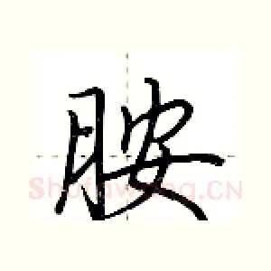 胺