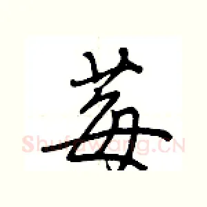 莓
